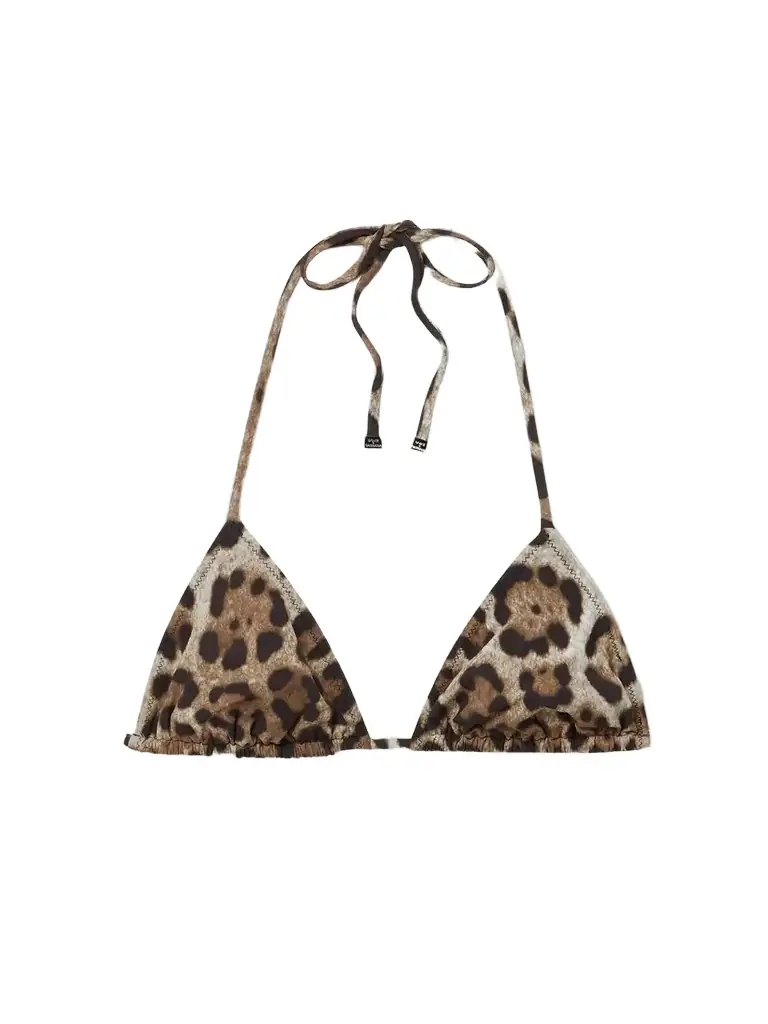 Dolce & Gabbana Leopard-print Triangle Bikini Top