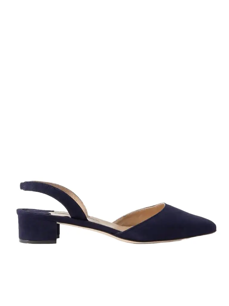 Manolo Blahnik Aspro 30 Suede Slingback Point-toe Pumps