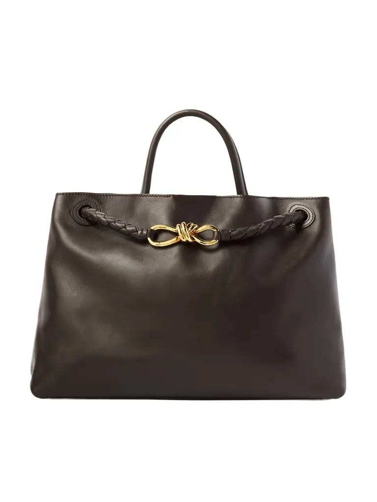 Bottega Veneta Andiamo Medium Leather Tote