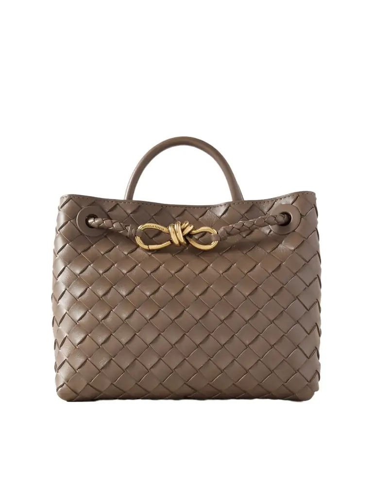Bottega Veneta Andiamo Small Intrecciato Leather Tote