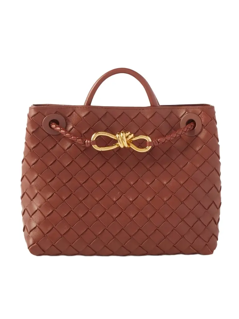 Bottega Veneta Andiamo Small Intrecciato Leather Tote