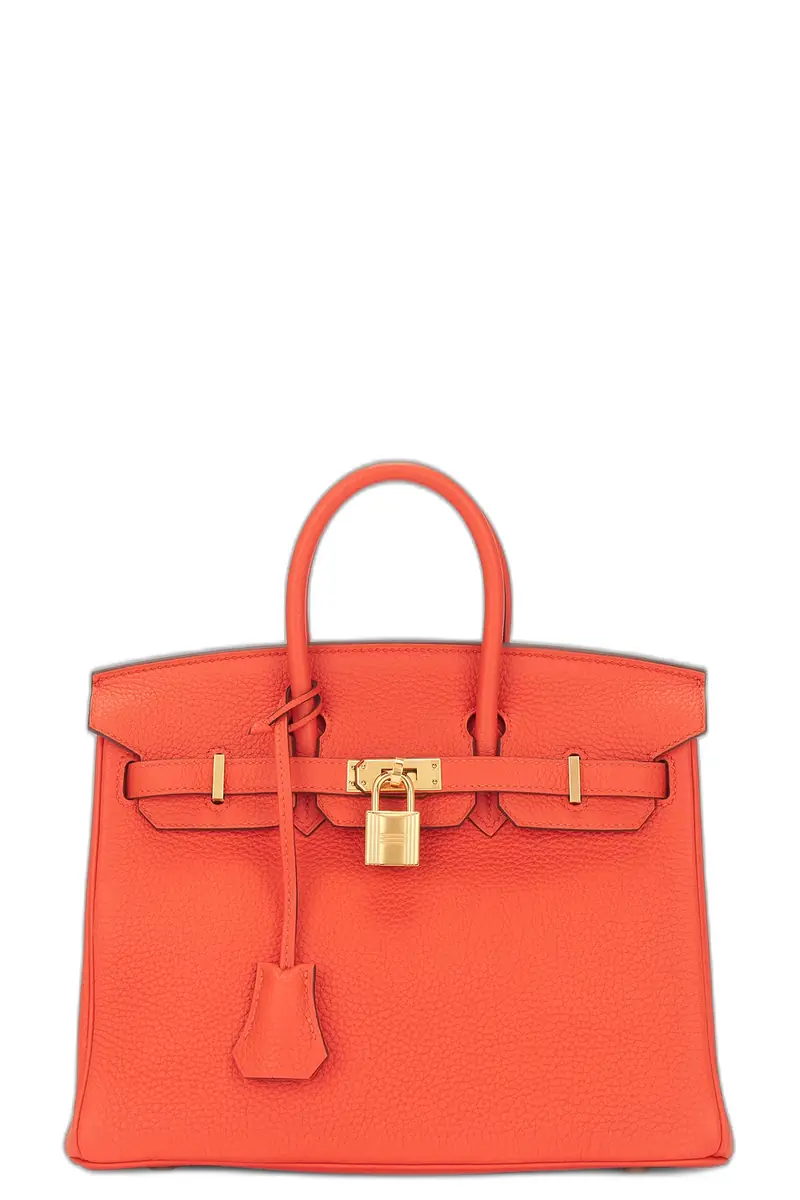 FWRD Renew Hermes Togo Birkin 25 Handbag