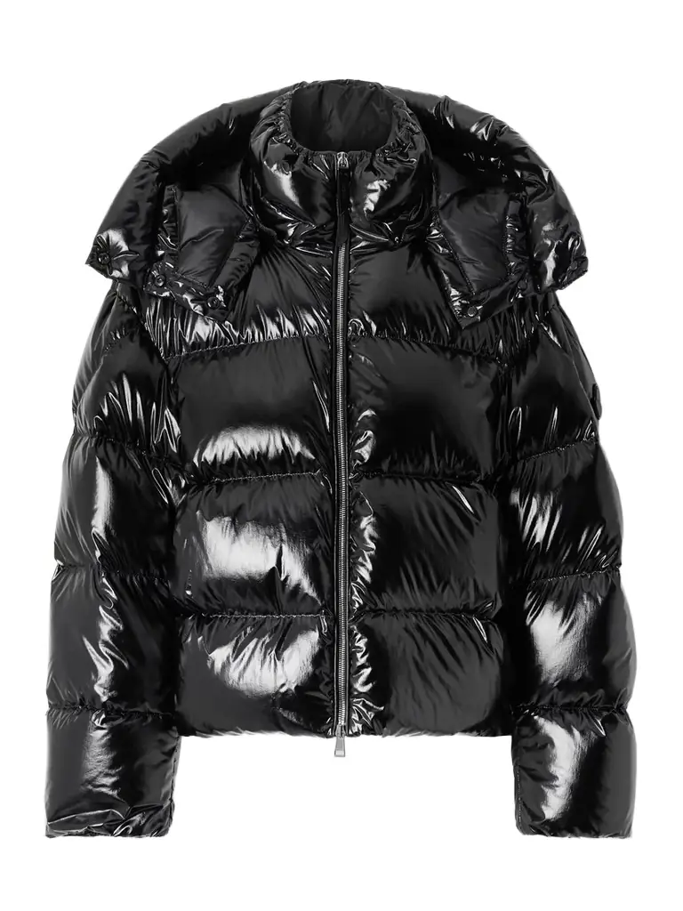 Moncler Genius Lothar Hooded Quilted Shell Down Jacket