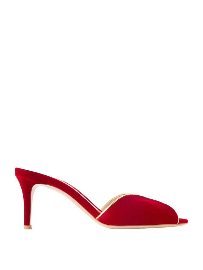 Gianvito Rossi 70 Leather-trimmed Velvet Mules