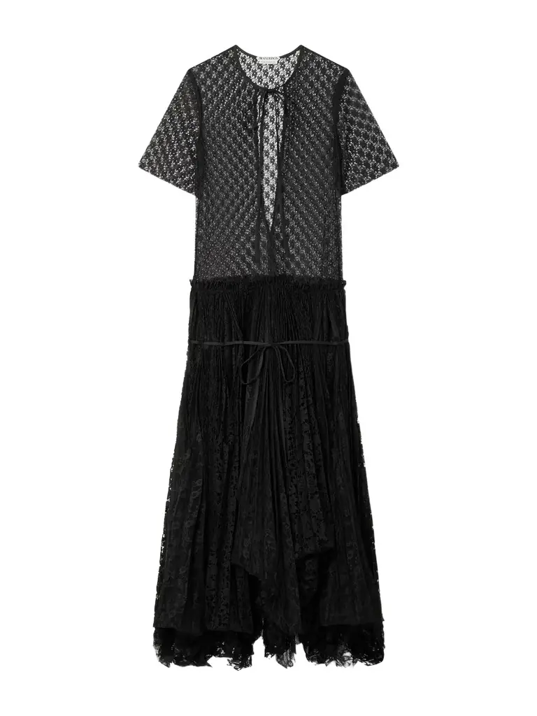 JW Anderson Layered Cutout Pleated Lace Maxi Dress