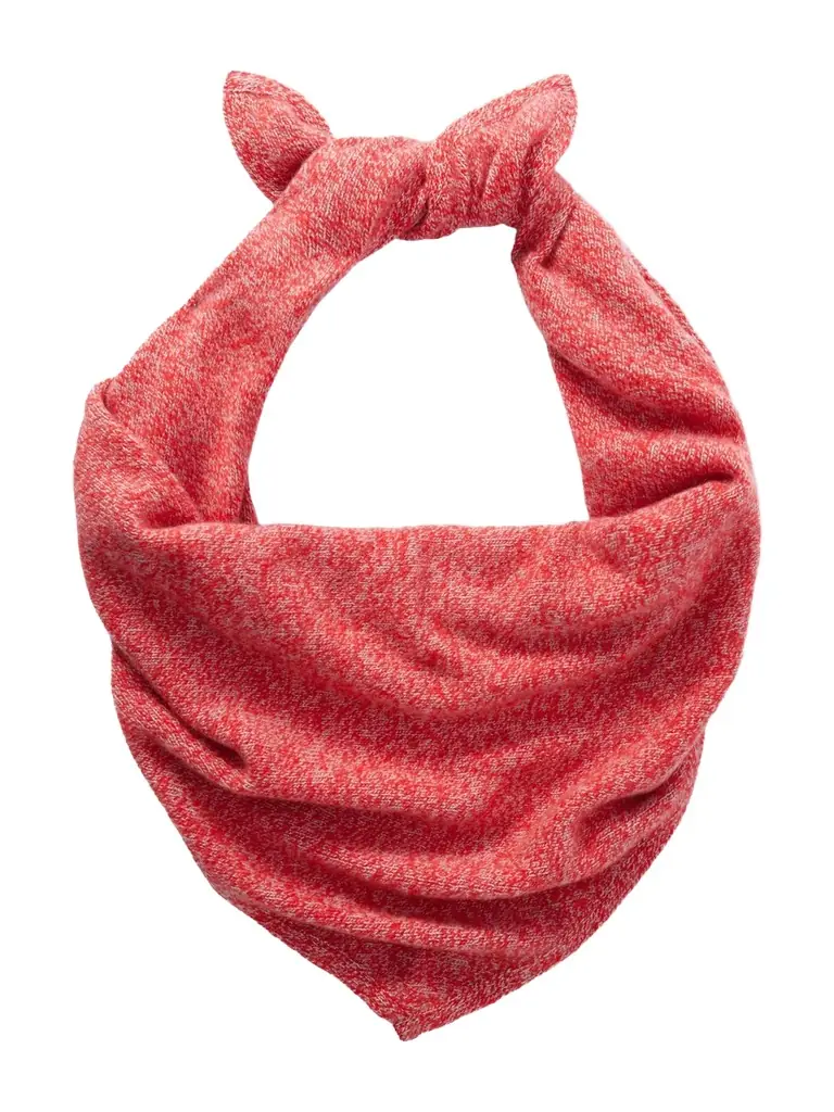 The Elder Statesman Cashmere Scarf