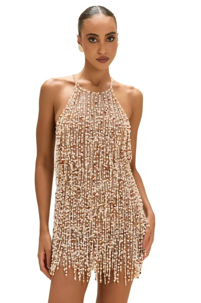 PatBo PEARL DUST EMBROIDERY MINI DRESS
