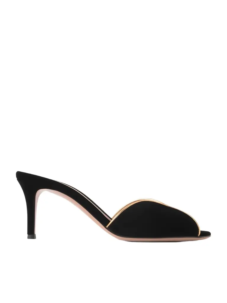Gianvito Rossi 70 Leather-trimmed Velvet Mules
