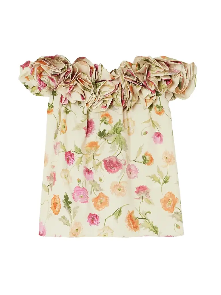 Carolina Herrera Off-the-shoulder Ruffled Floral-print Cotton-blend Top
