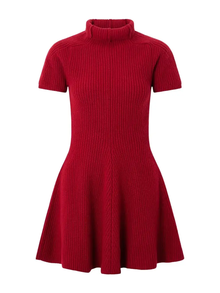 Magda Butrym Ribbed Cashmere Turtleneck Mini Dress