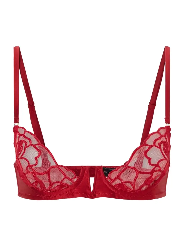Kiki de Montparnasse Petite Chou Embroidered Lace Balconette Bra