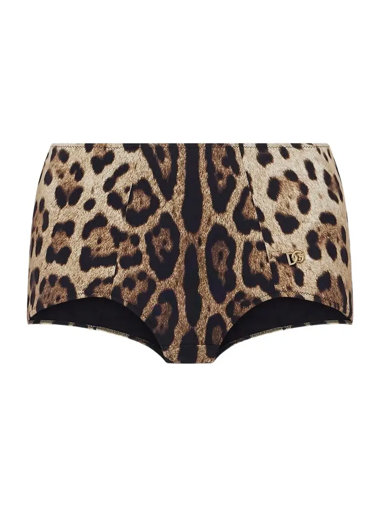Dolce & Gabbana Leopard-print Bikini Brief