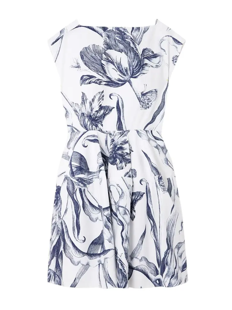 Erdem Pleated Floral-print Cotton-poplin Mini Dress