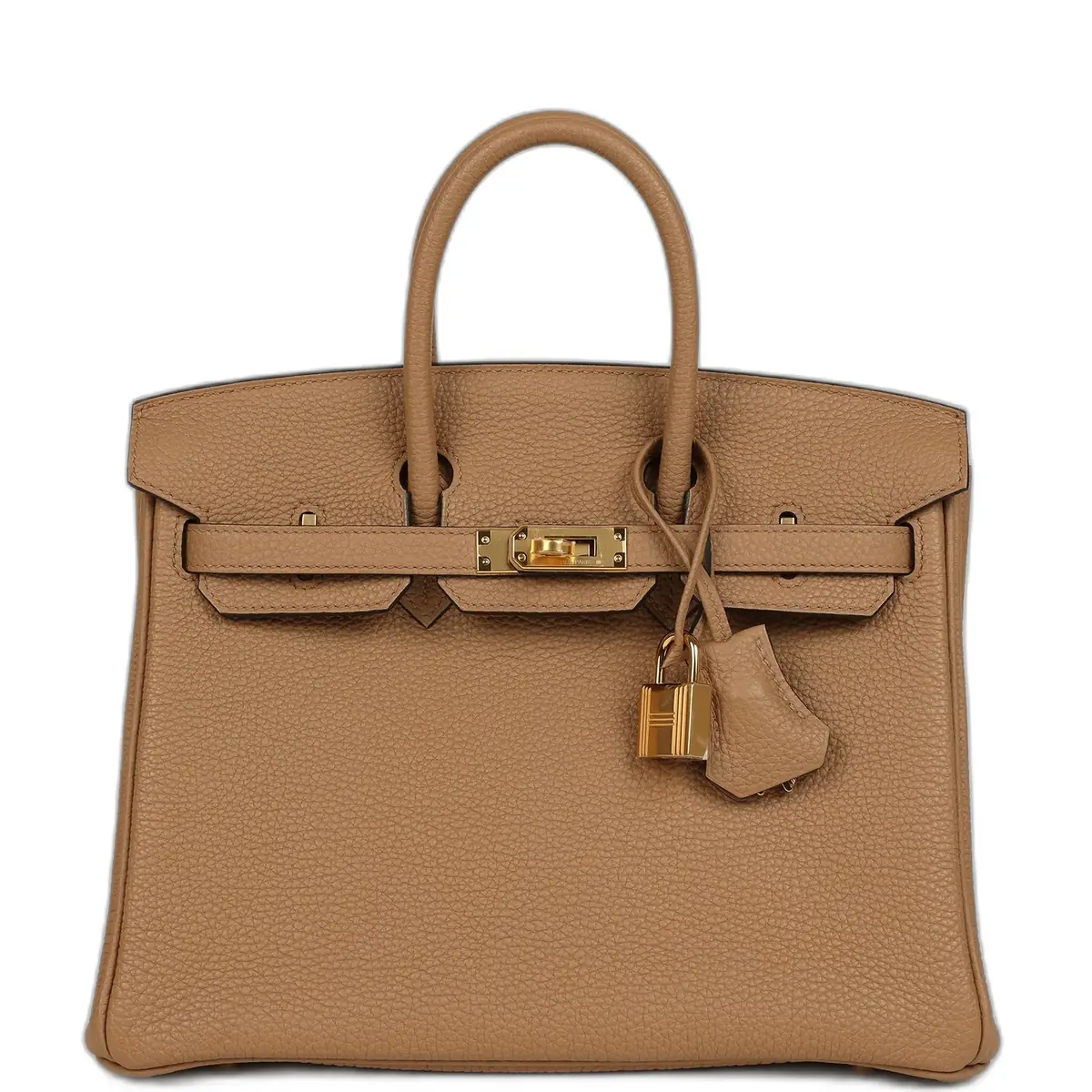 hermes Hermes Birkin 25 Chai Togo Gold Hardware