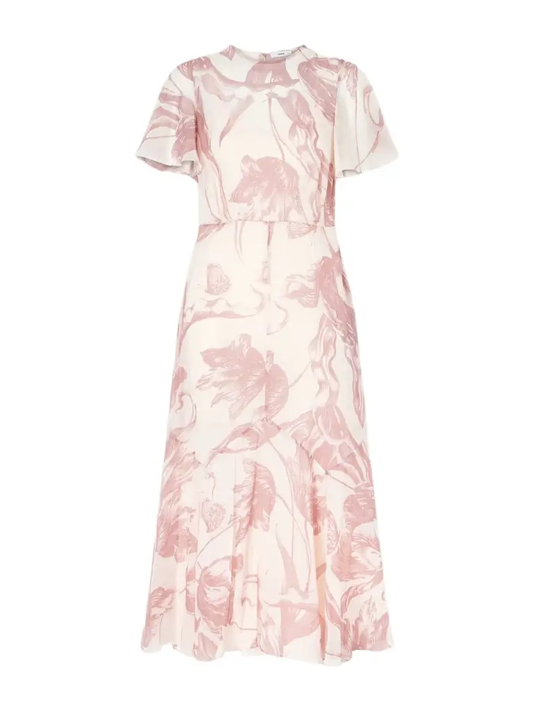 Erdem Printed Silk-chiffon Midi Dress