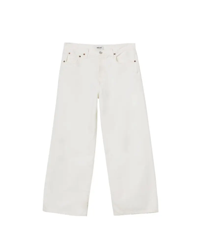AGOLDE Low-Rise Wide Baggy Jeans