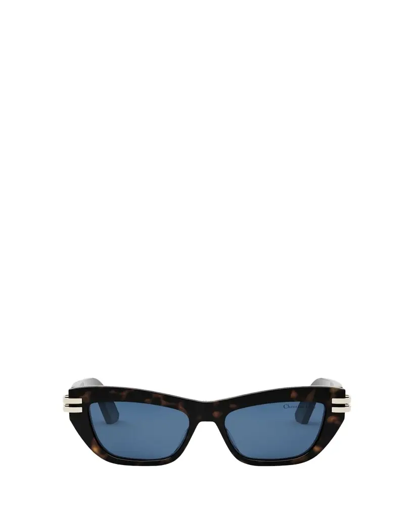 Dior C B2U Sunglasses