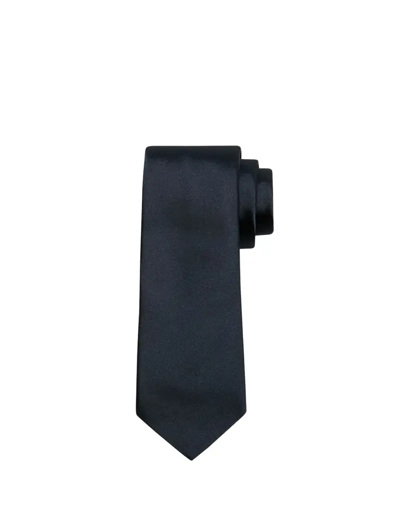 Ferragamo Men's Solid Silk Tie
