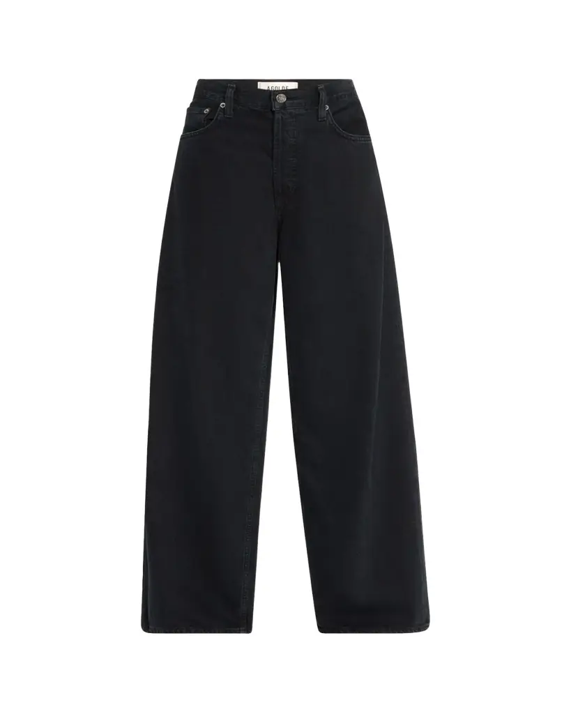 AGOLDE Low Slung Baggy Jeans