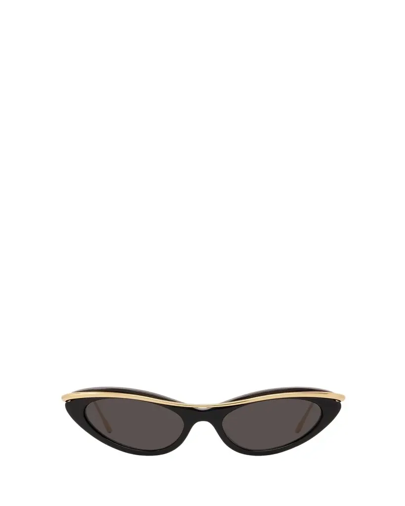 Loewe Signature Acetate & Metal Cat-Eye Sunglasses