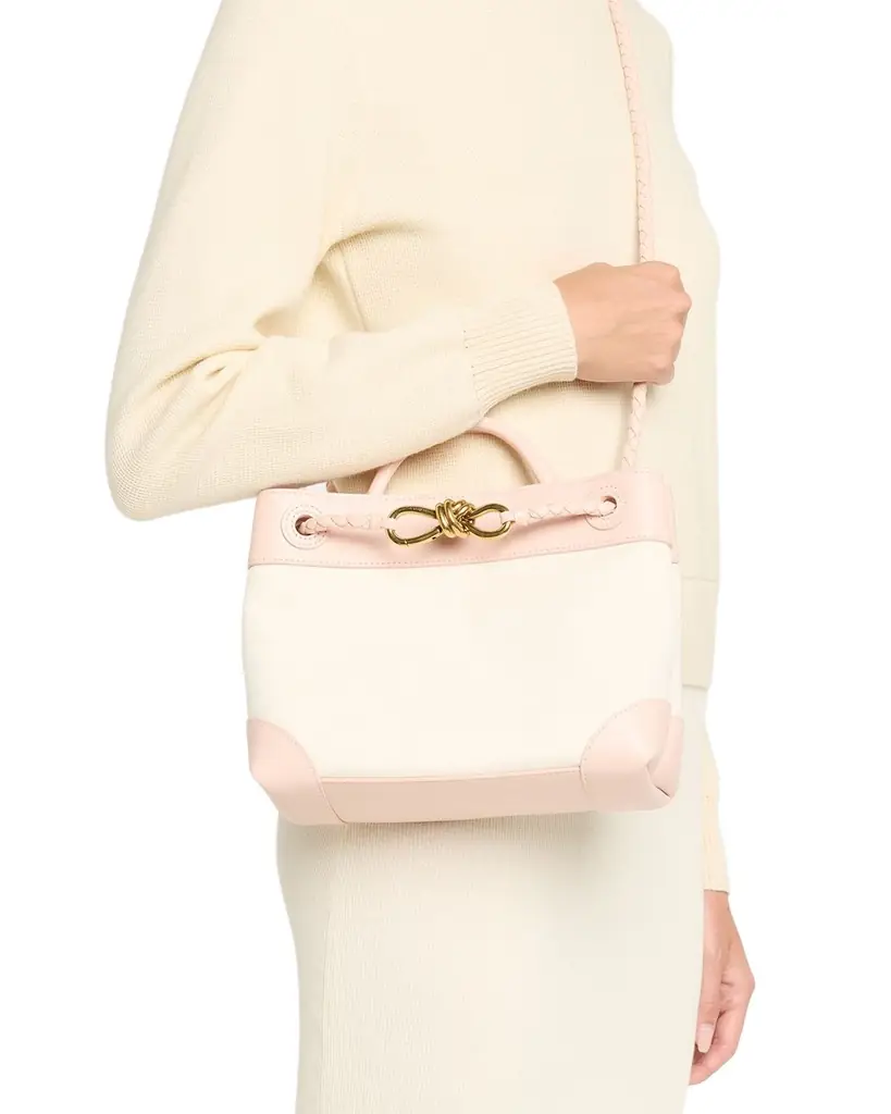 Bottega Veneta Andiamo Canvas and Nappa Small Top-Handle Bag