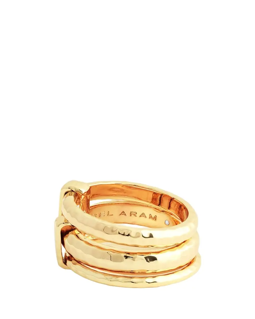 Anabel Aram Jewelry Farrier Triple Connected Ring