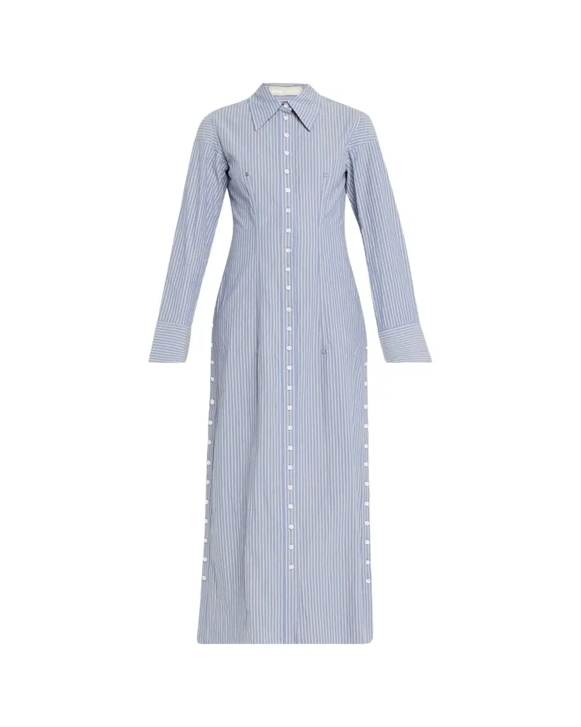 Jane Wade Long Button-Front Pinstripe Shirtdress