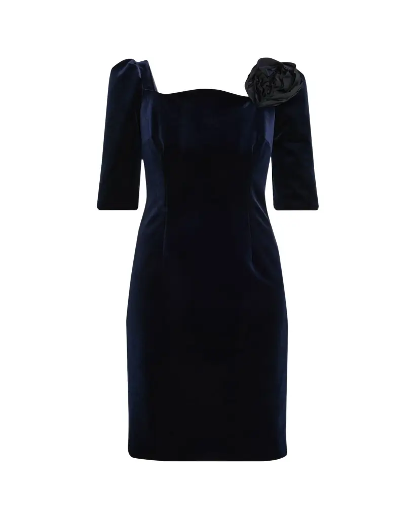Rickie Freeman for Teri Jon Floral Applique Velvet Dress