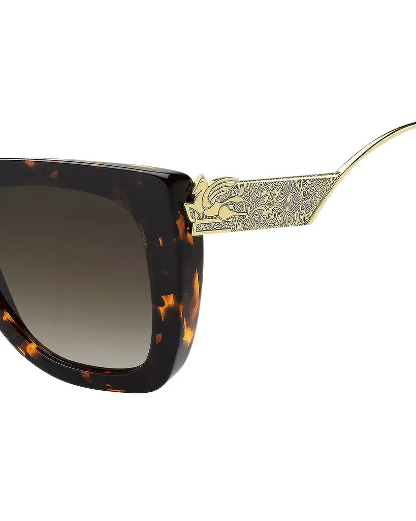 Etro Bold Pegaso Curved Acetate Sunglasses