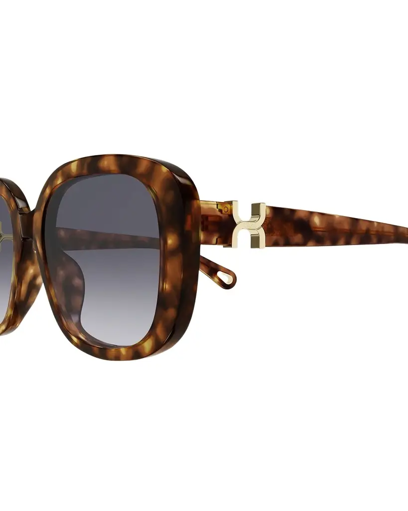 Chloe Round Acetate Sunglasses