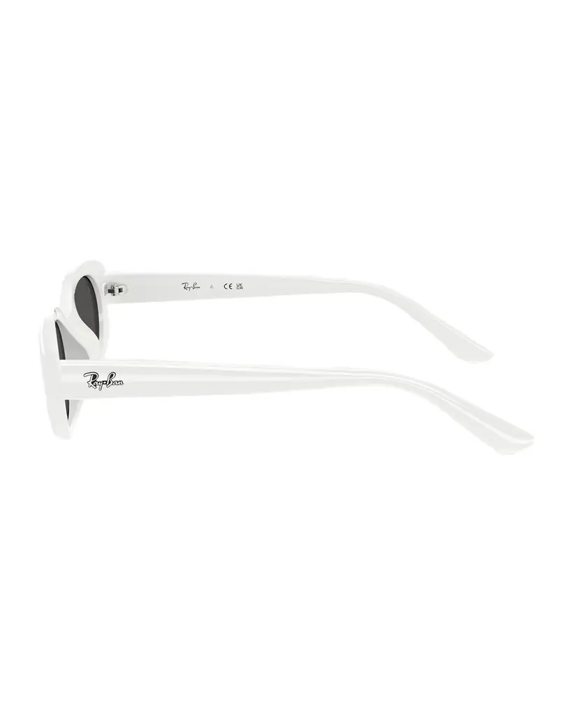Ray-Ban RB4441D Rectangle Plastic Sunglasses