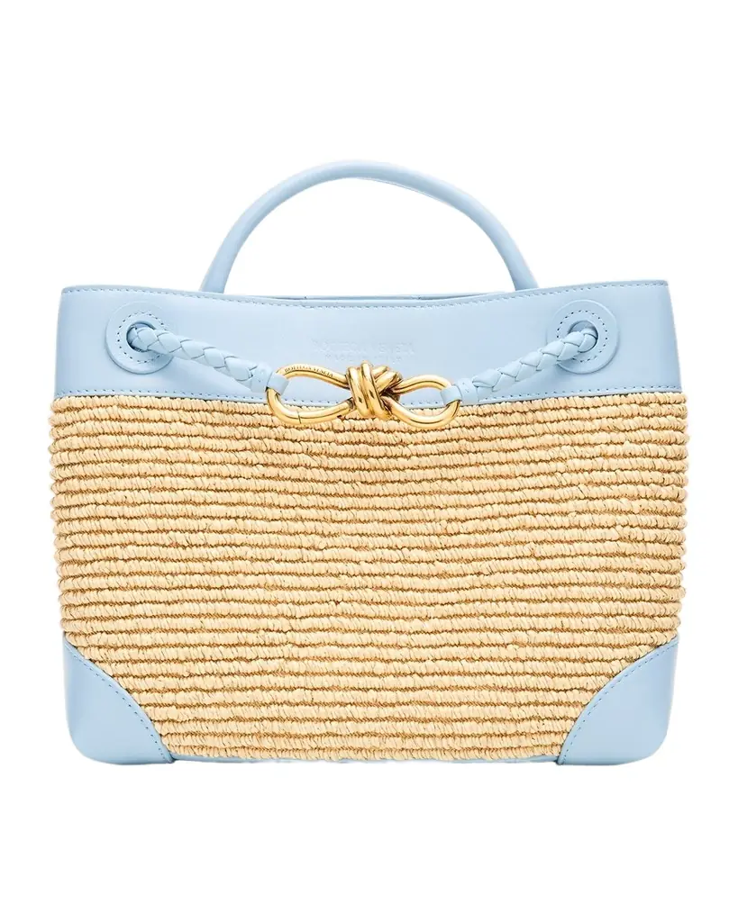 Bottega Veneta Small Andiamo Tote Bag