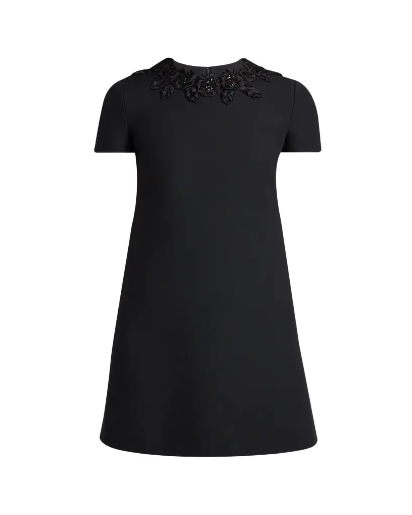 Valentino Garavani Rose Embroidered Short-Sleeve Mini Dress