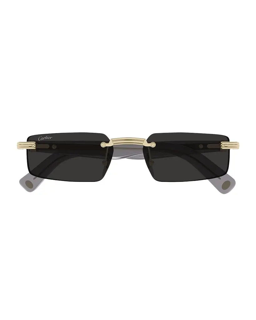 Cartier Men 's CT0537SM Metal Rectangle Sunglasses