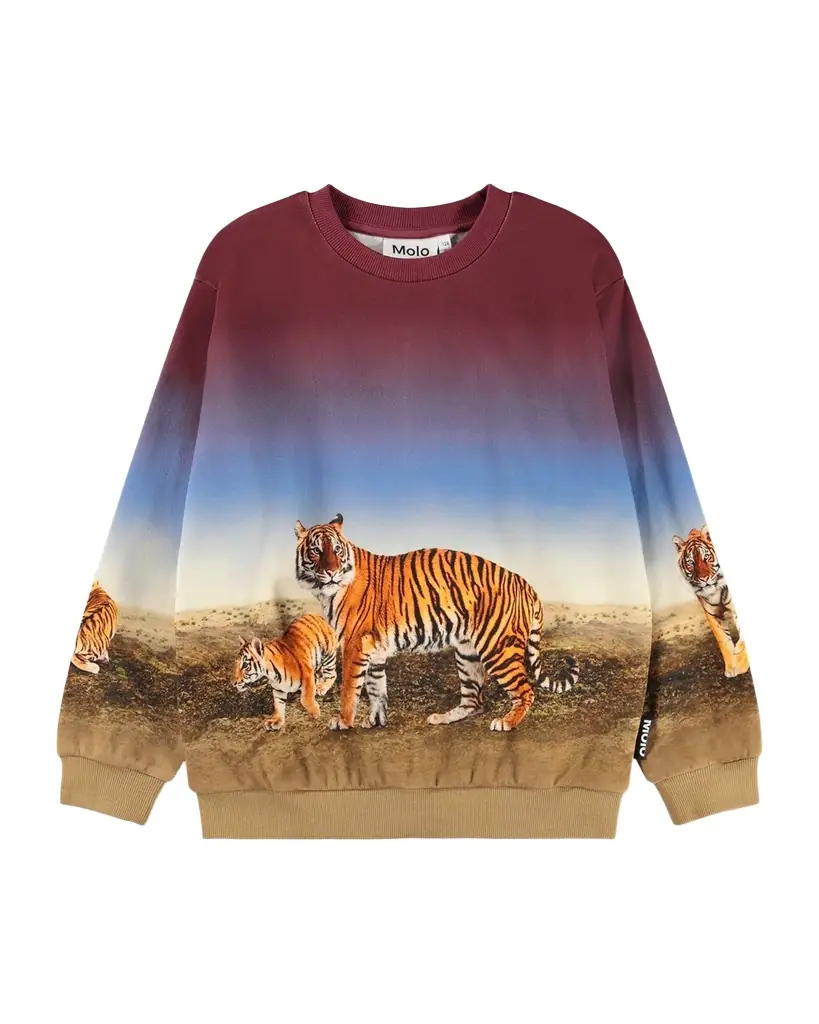 Molo Boy 's Miksi Tiger-Print Organic Cotton Sweatshirt, Size 3-7