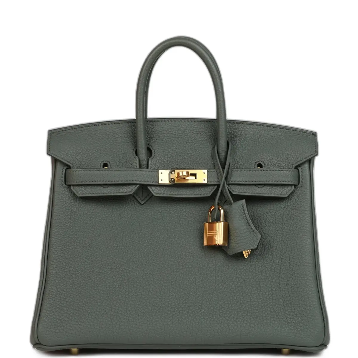 hermes Hermes Birkin 25 Vert Amande Togo Gold Hardware - Women's Bags