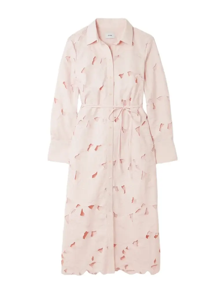 Erdem Cutout Embroidered Poplin Midi Dress