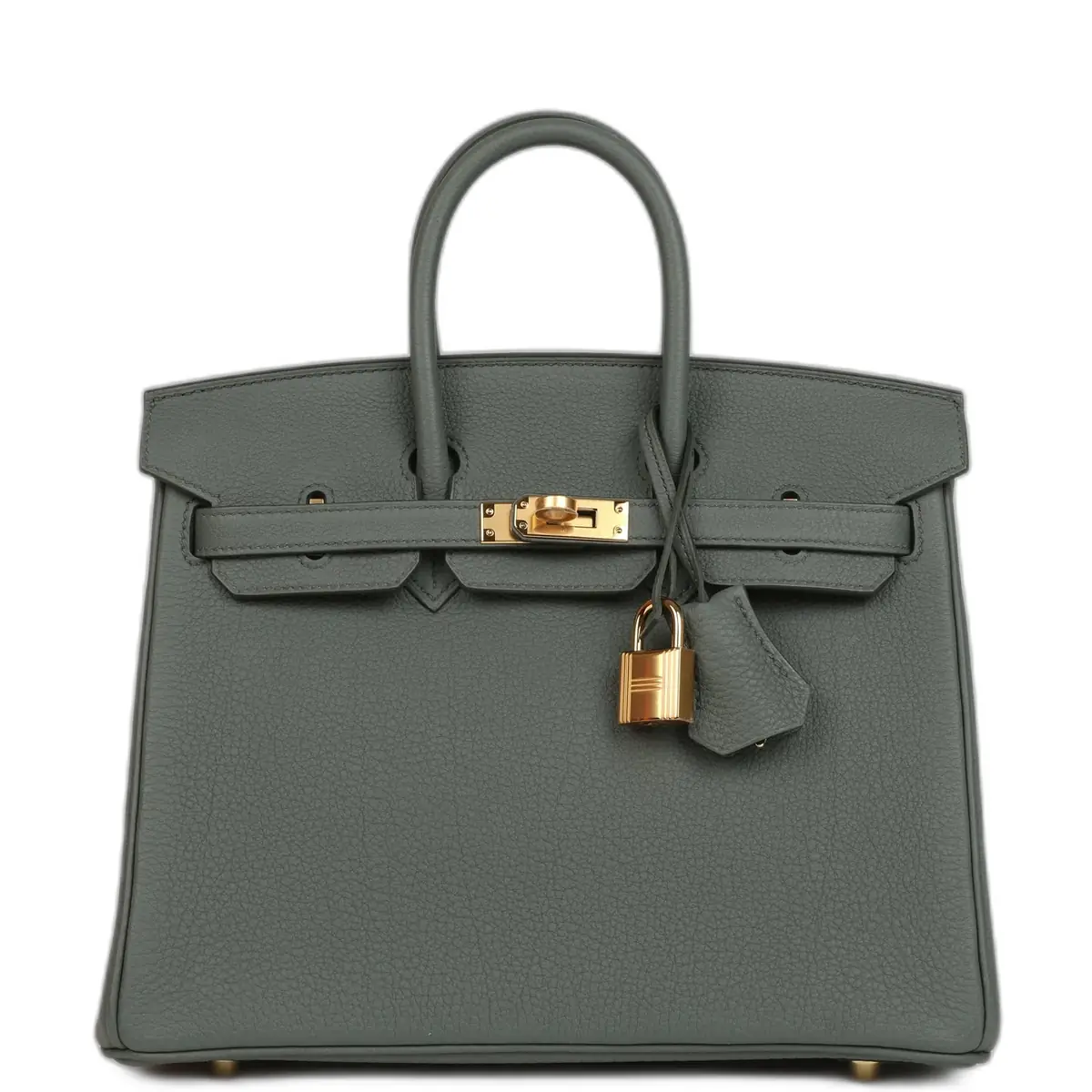 hermes Hermes Birkin 25 Vert Amande Togo Gold Hardware
