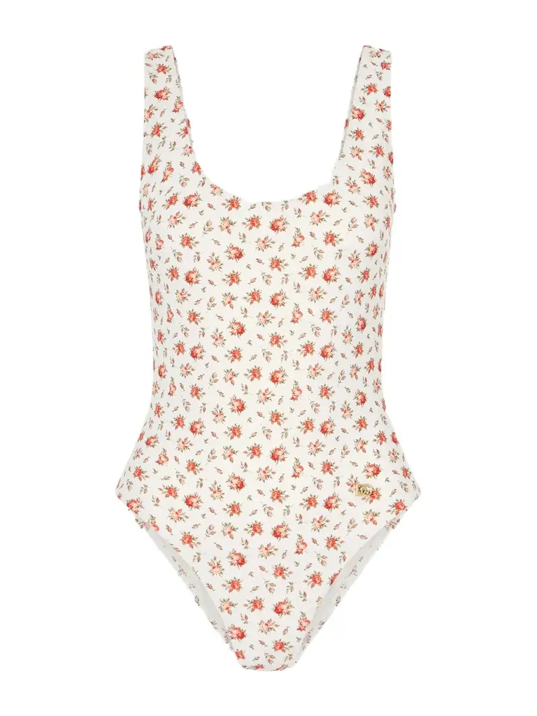 Dolce & Gabbana Floral-print Swimsuit