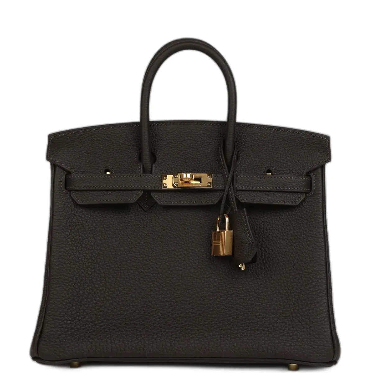 hermes Hermes Birkin 25 Bai-Brun Togo Gold Hardware