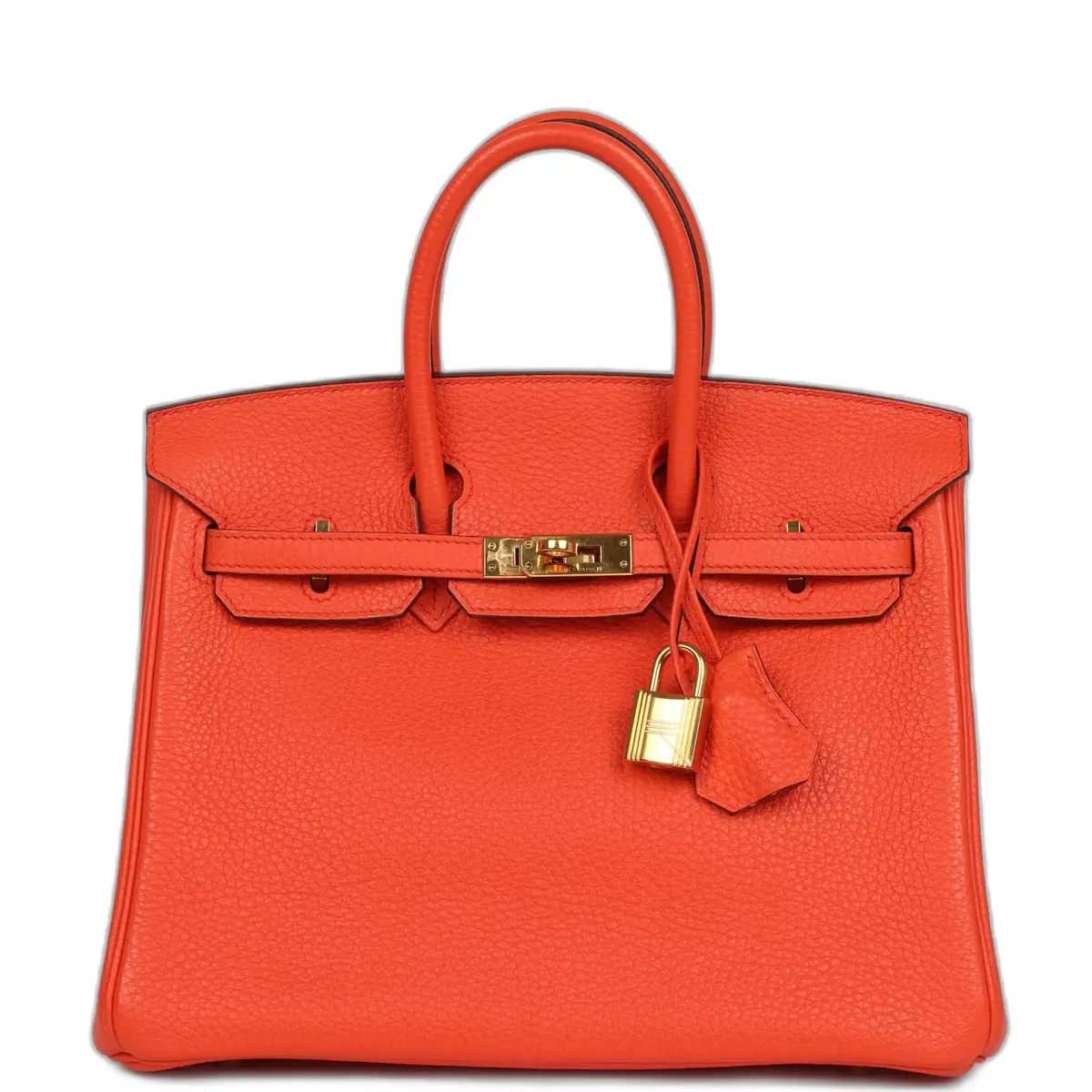 hermes Pre-owned Hermes Birkin 25 Orange Poppy Togo Gold Hardware