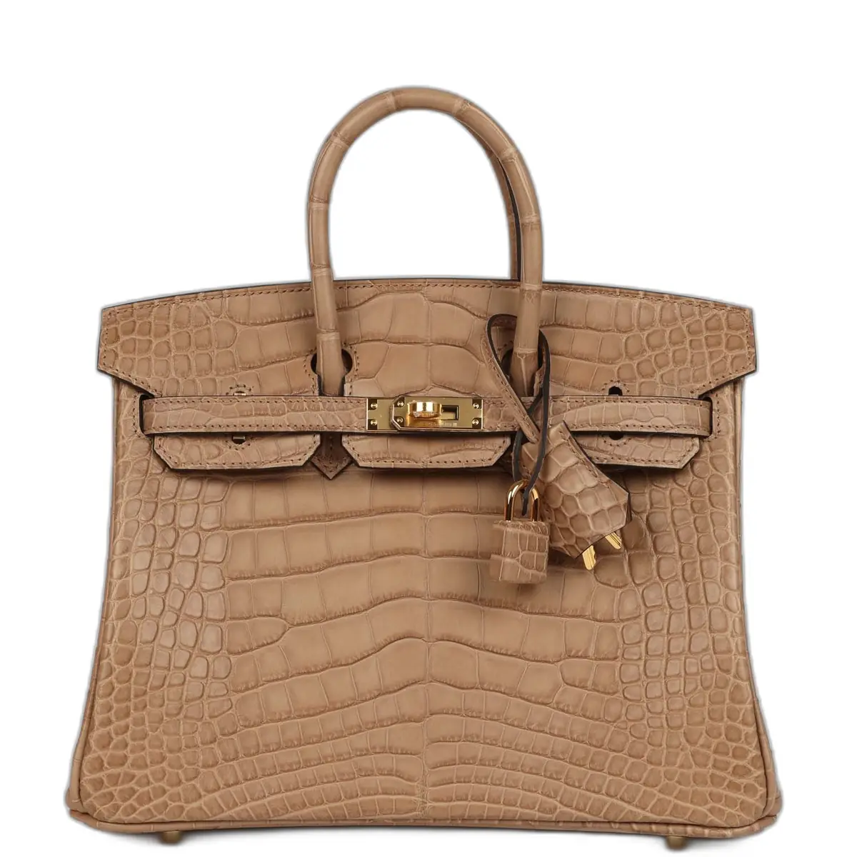 hermes Hermes Birkin 25 Chai Matte Alligator Gold Hardware
