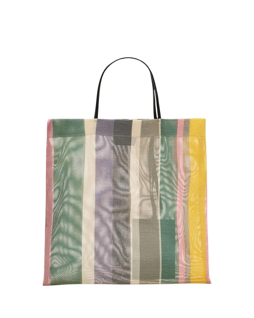 THE ROW Barn Mini Tote Bag in Striped Mesh