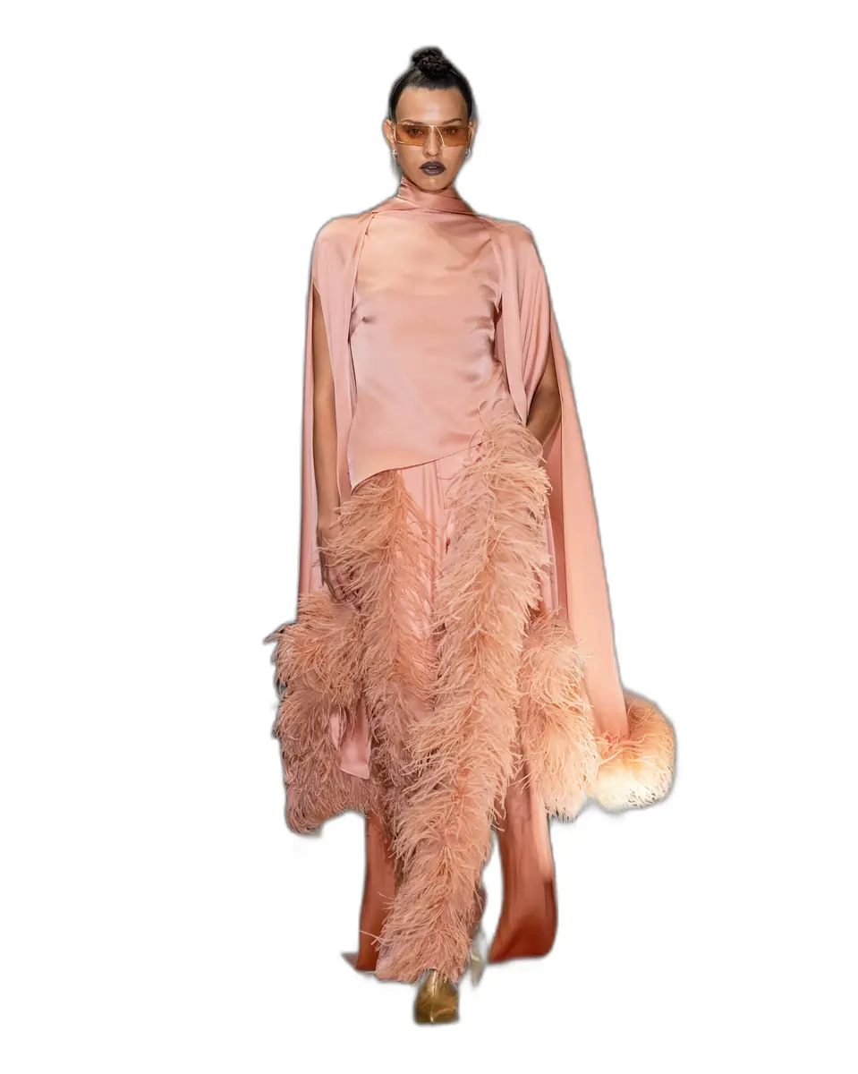 LAPOINTE Satin Cape Sleeve Top With Feathers