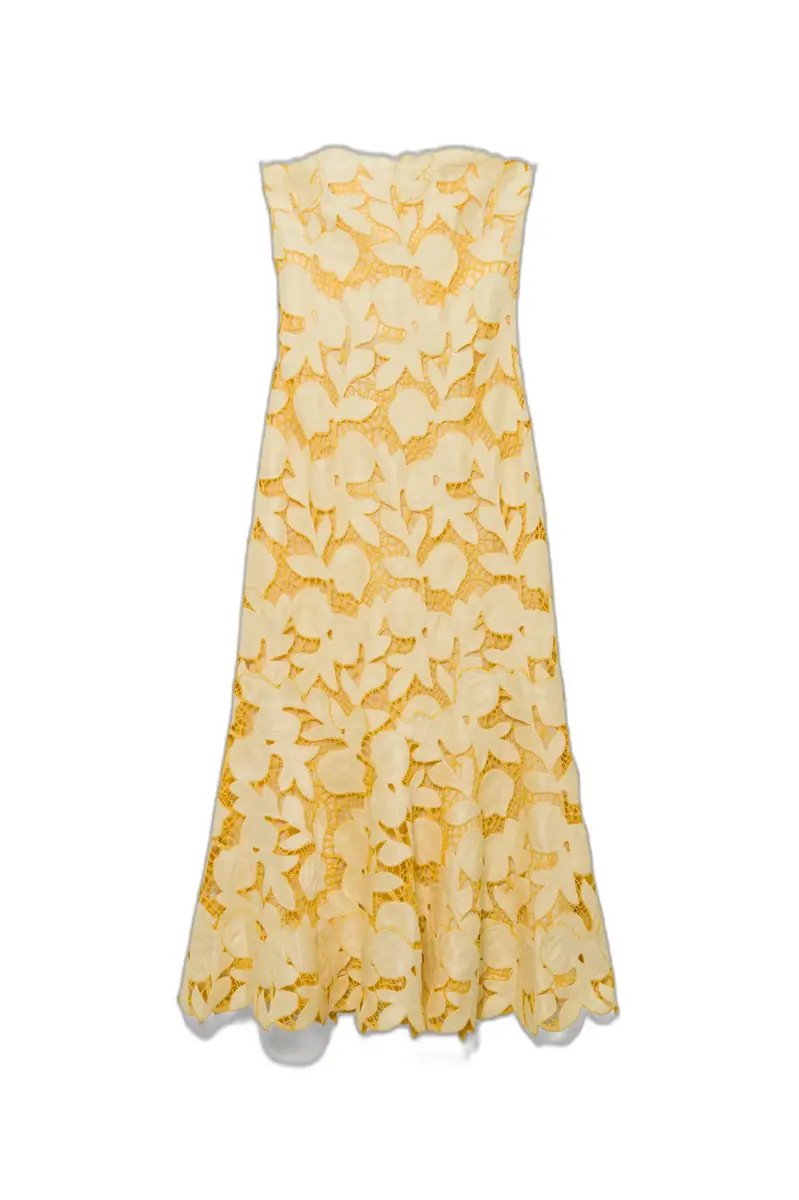 Simkhai Valletta Strapless Embroidered Dress