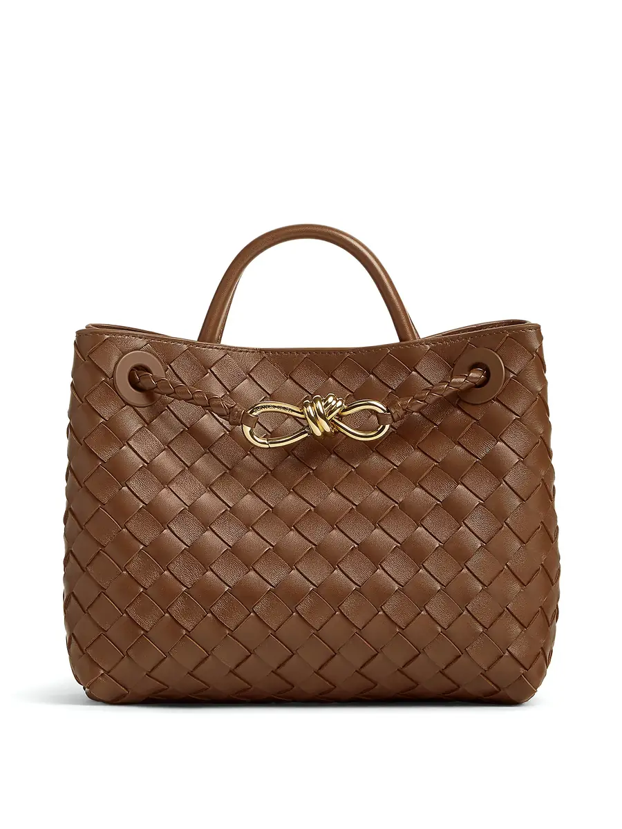Bottega Veneta Small Andiamo Bag