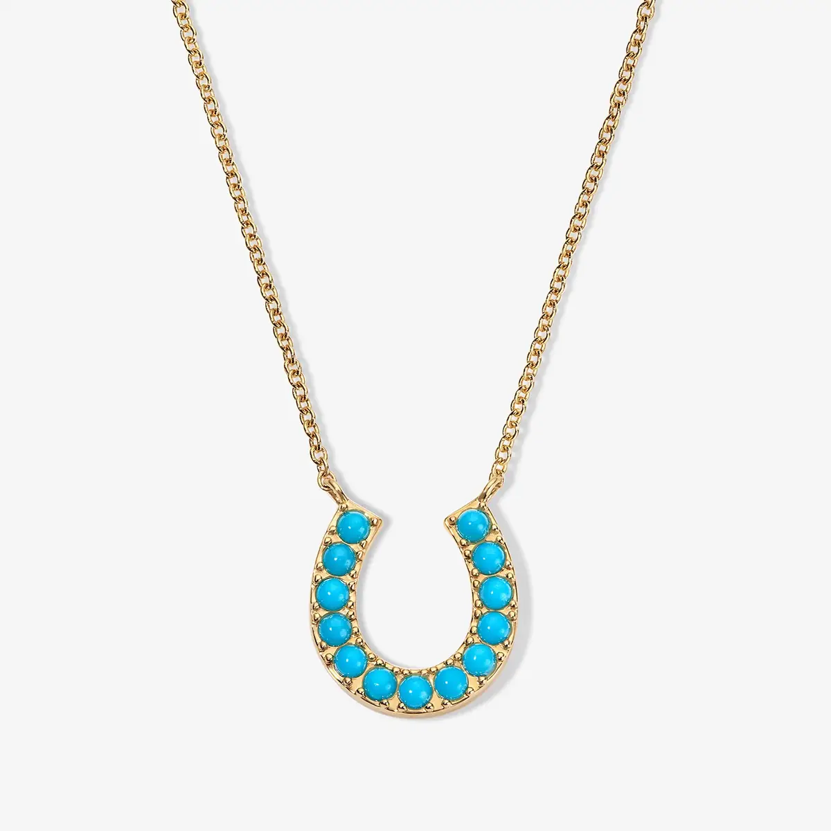 Dakota Horseshoe Necklace