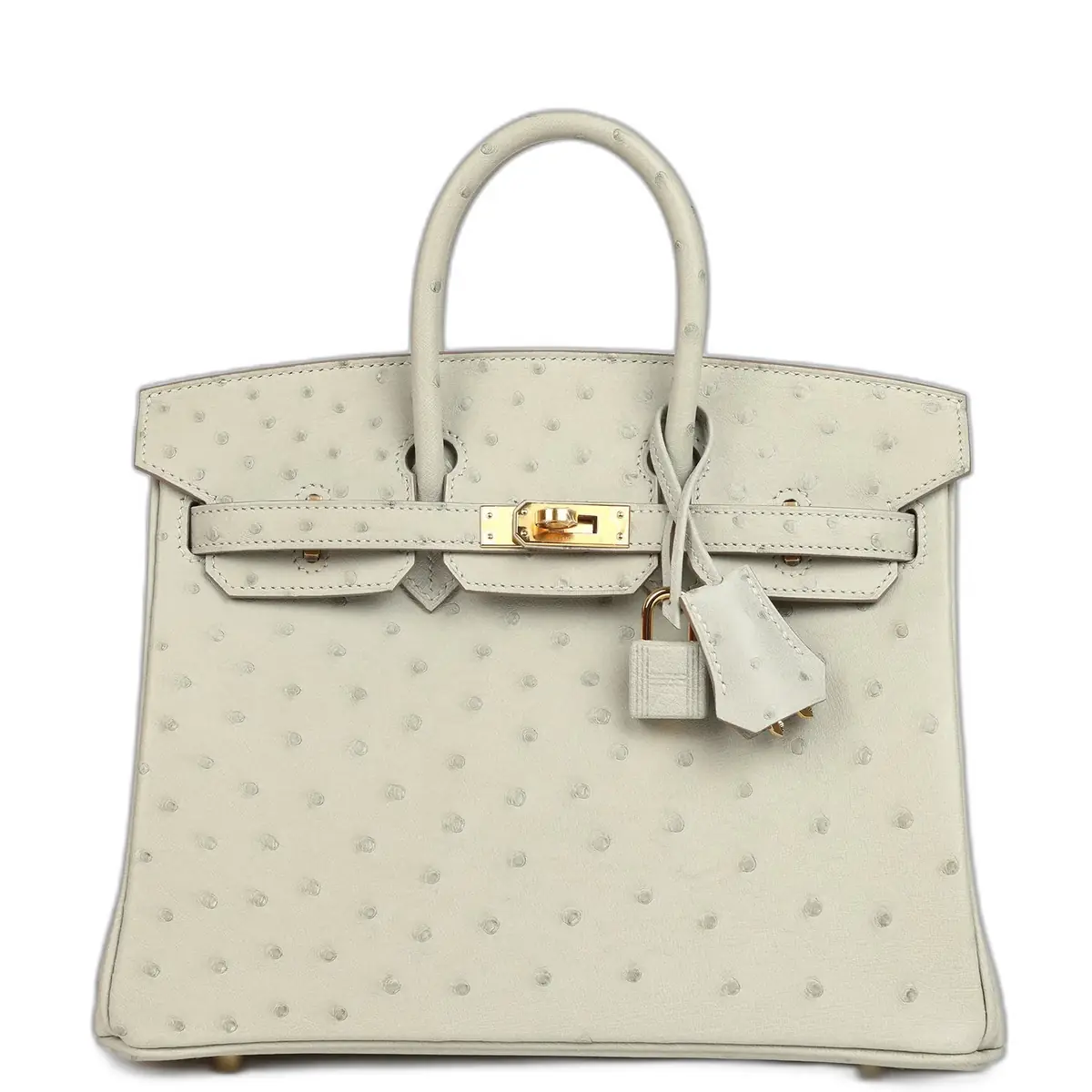 hermes Hermes Birkin 25 Gris Perle Ostrich Gold Hardware