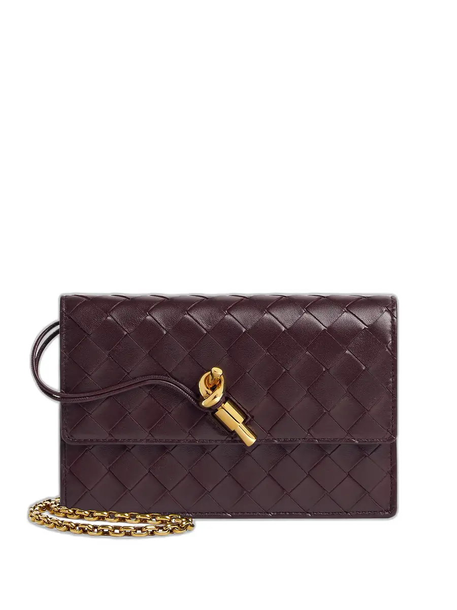 Bottega Veneta Andiamo Pouch on Chain