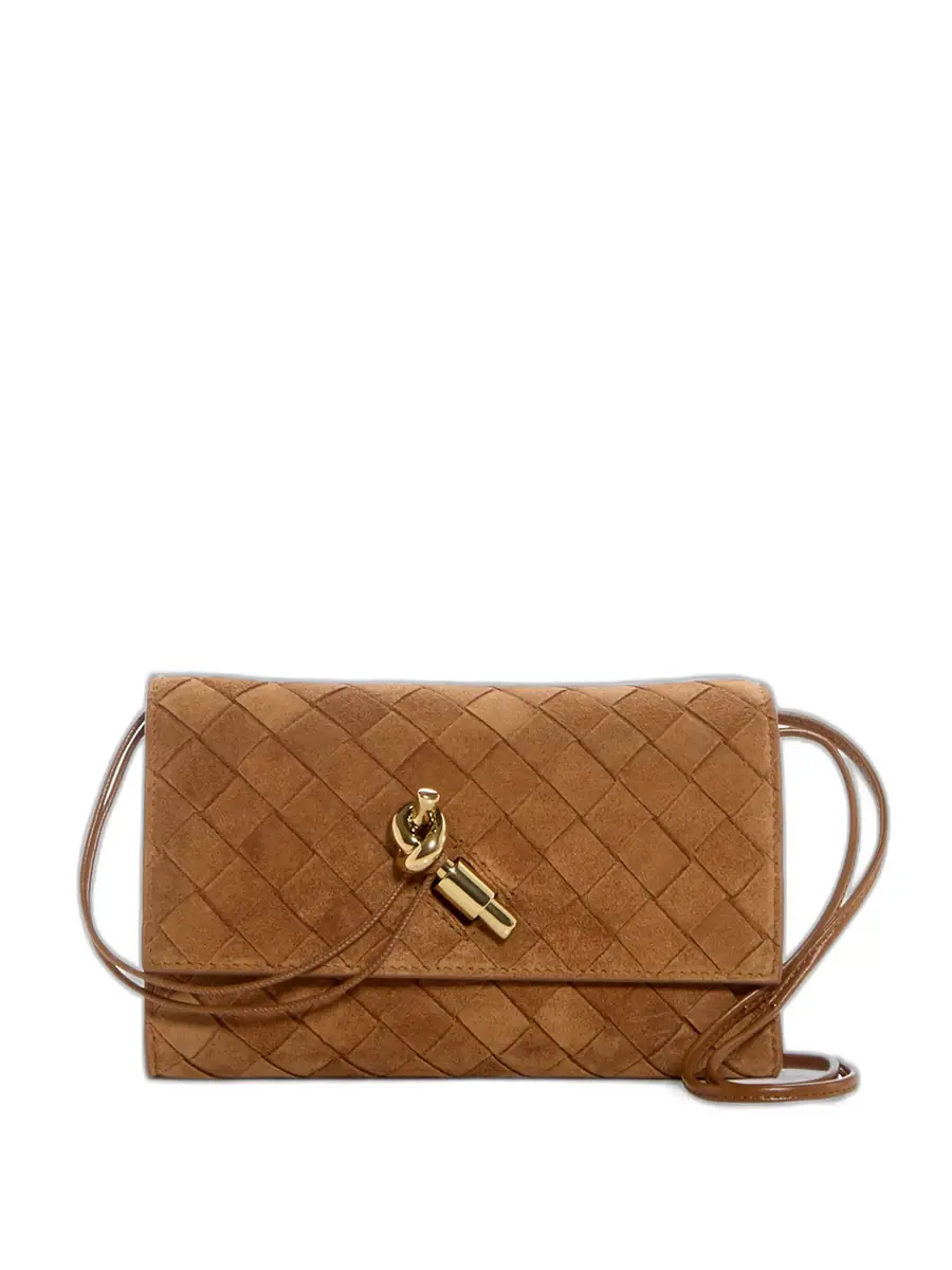 Bottega Veneta Suede Andiamo Intrecciato Mini Pouch